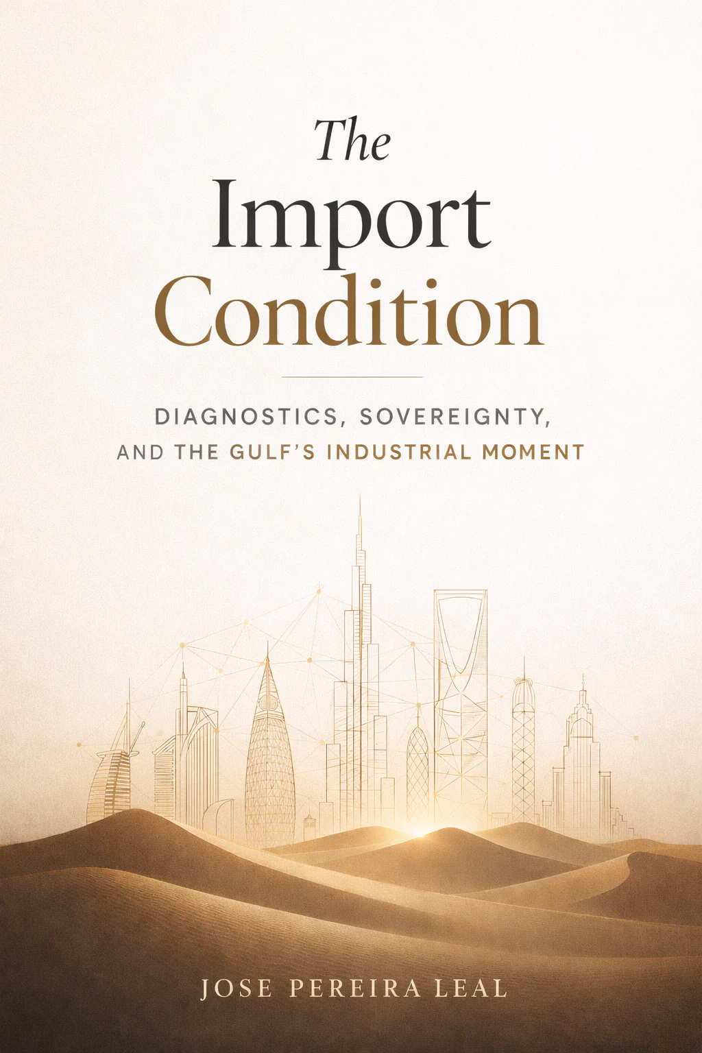 Cover of The Import Condition by José Pereira Leal